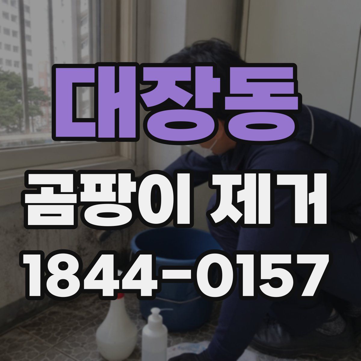 대장동 곰팡이 제거