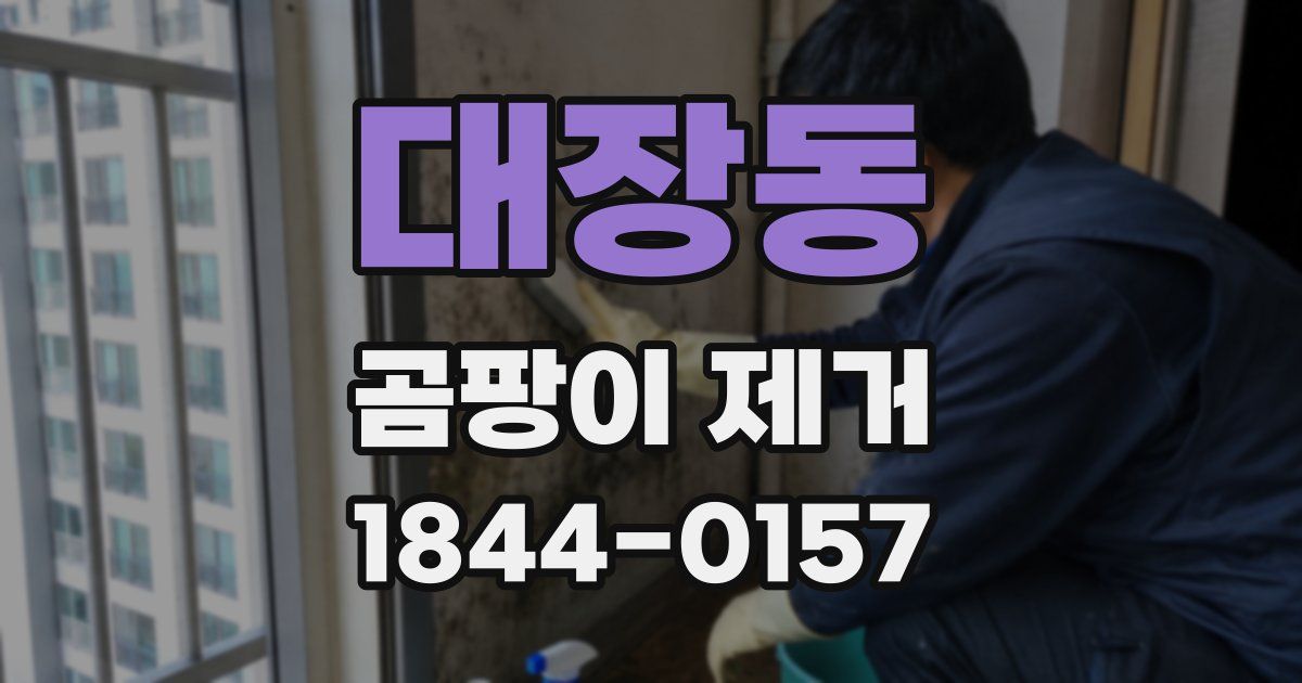 대장동 곰팡이 제거