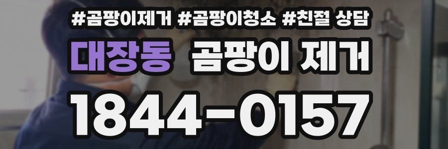 대장동 곰팡이 제거