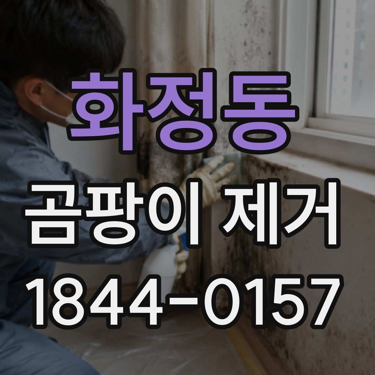 화정동 곰팡이 제거