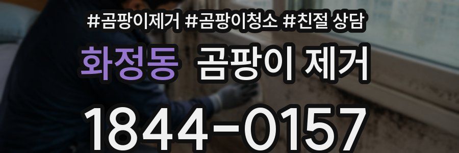 화정동 곰팡이 제거