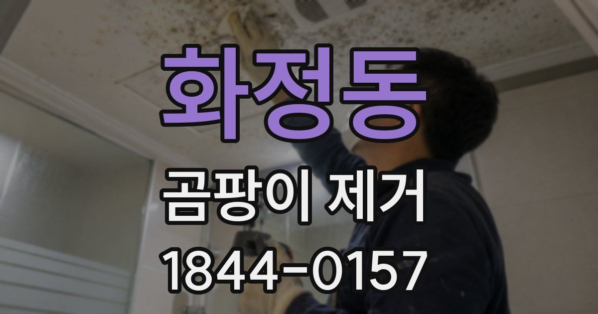 화정동 곰팡이 제거