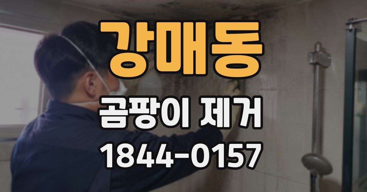 강매동 곰팡이 제거