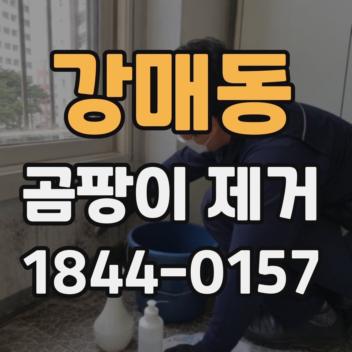 강매동 곰팡이 제거
