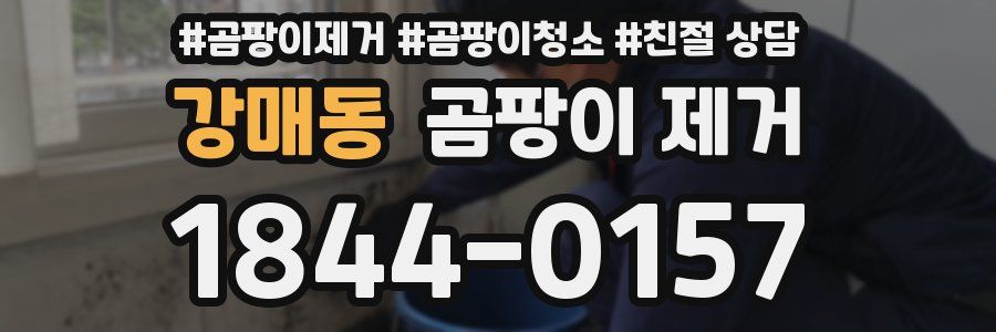 강매동 곰팡이 제거