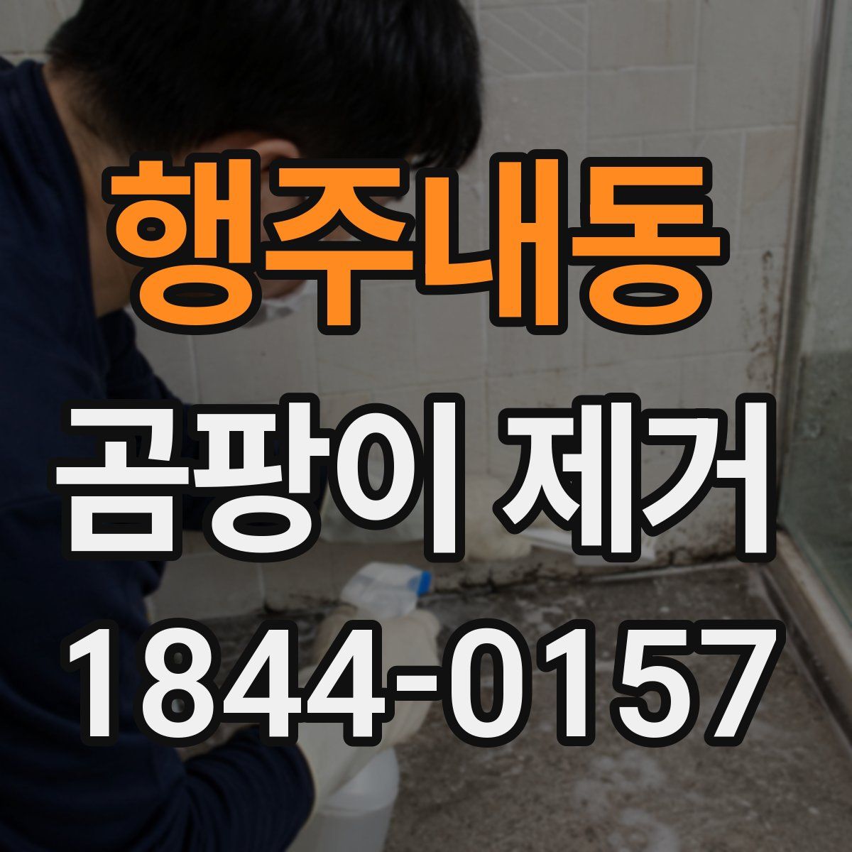 행주내동 곰팡이 제거