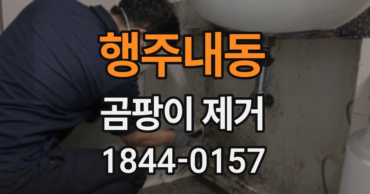 행주내동 곰팡이 제거