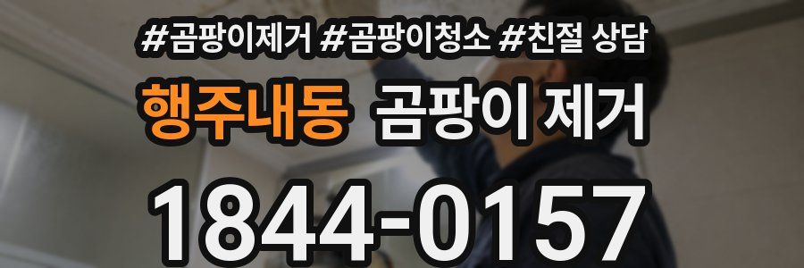 행주내동 곰팡이 제거