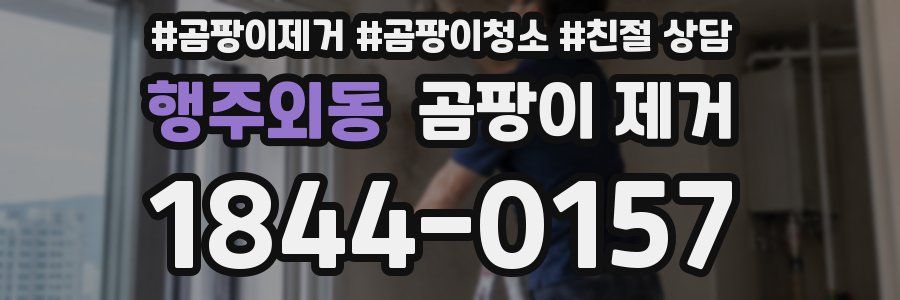 행주외동 곰팡이 제거