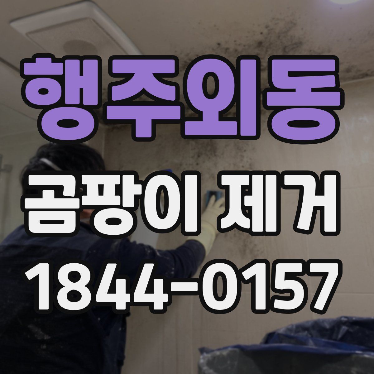 행주외동 곰팡이 제거
