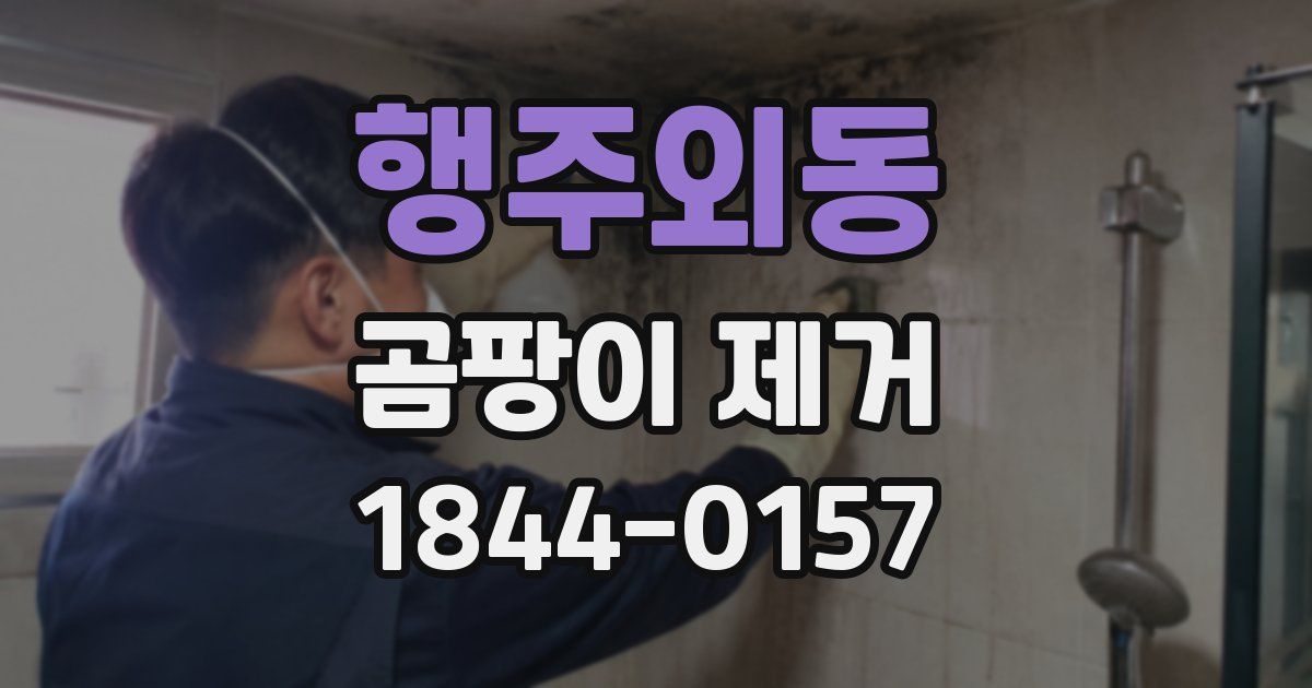 행주외동 곰팡이 제거