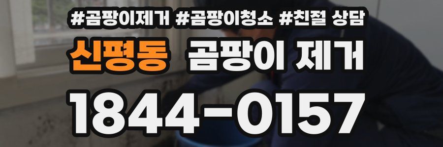 신평동 곰팡이 제거