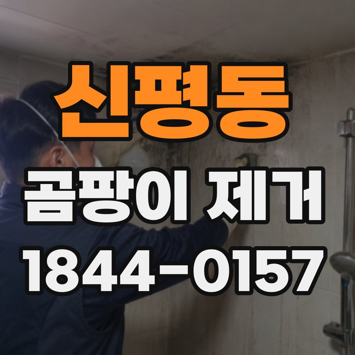 신평동 곰팡이 제거