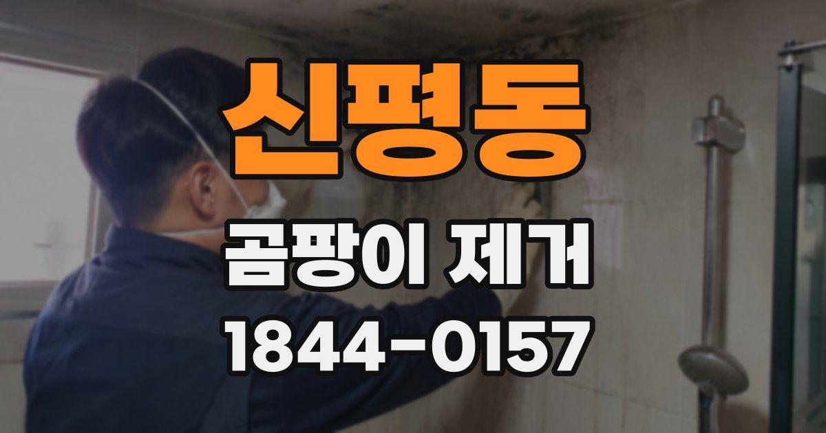 신평동 곰팡이 제거