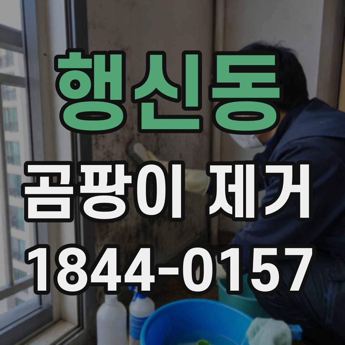 행신동 곰팡이 제거