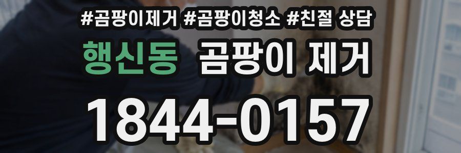 행신동 곰팡이 제거