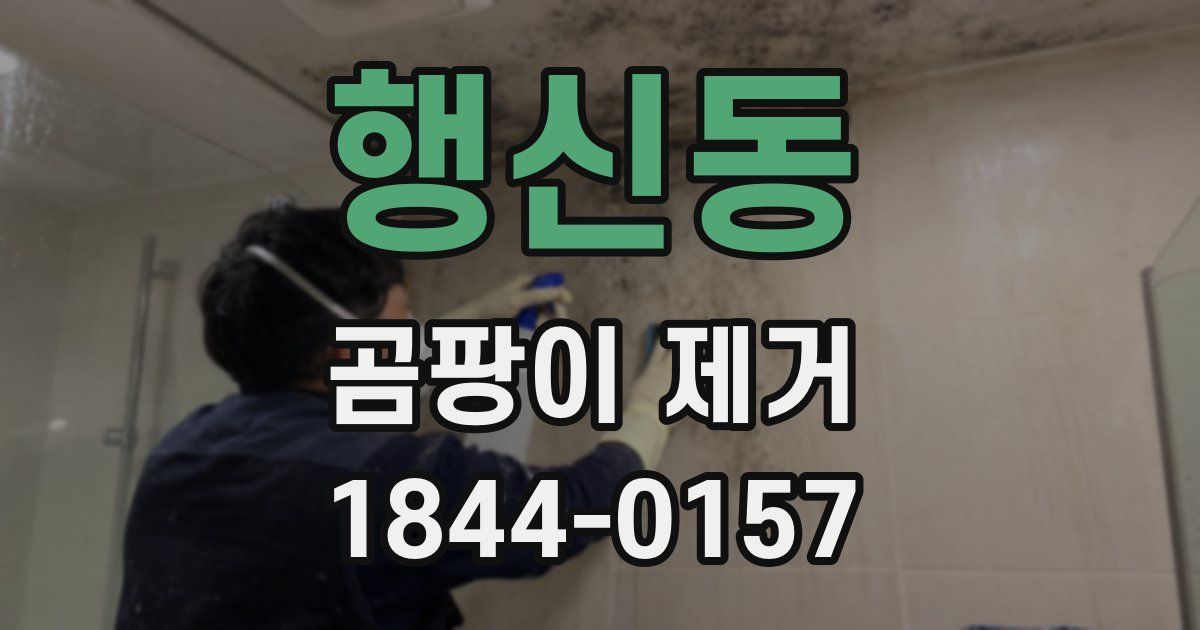 행신동 곰팡이 제거