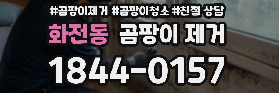 화전동 곰팡이 제거