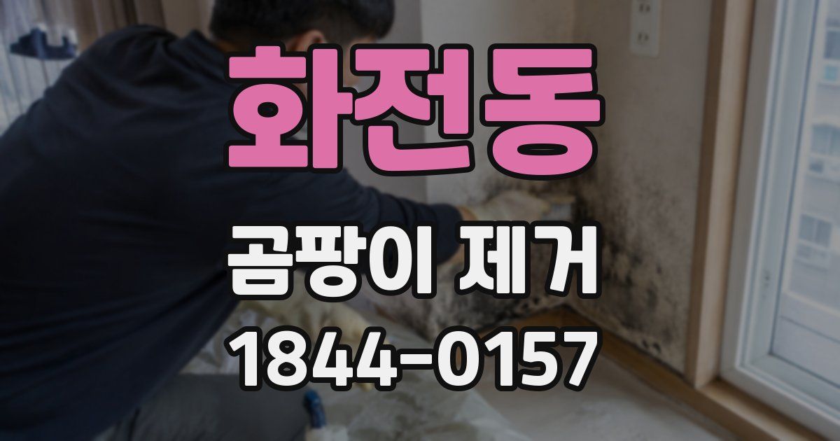 화전동 곰팡이 제거