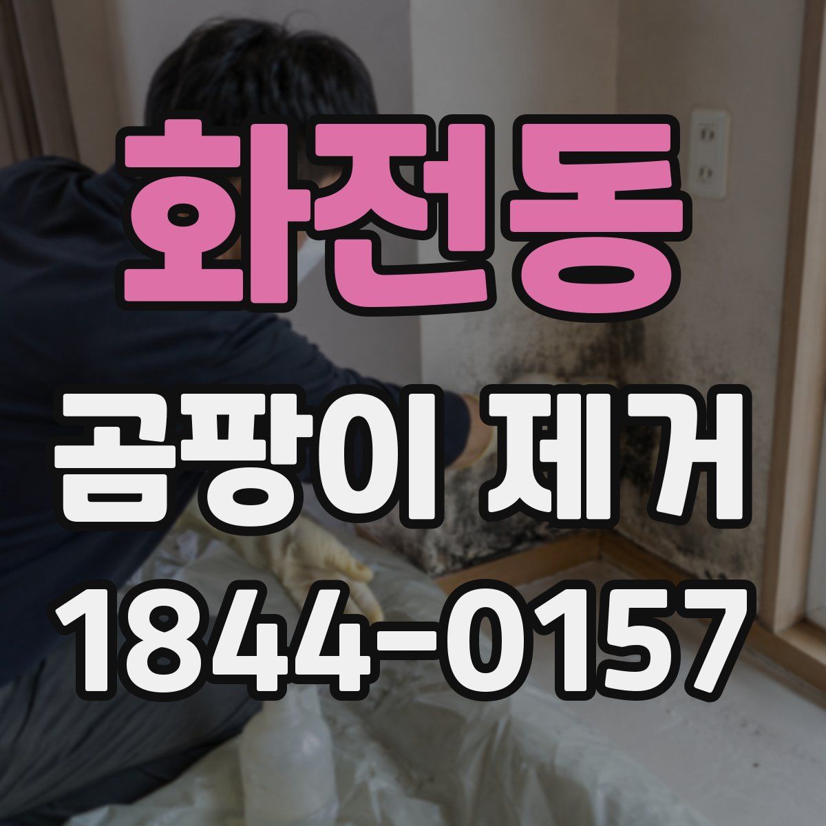 화전동 곰팡이 제거