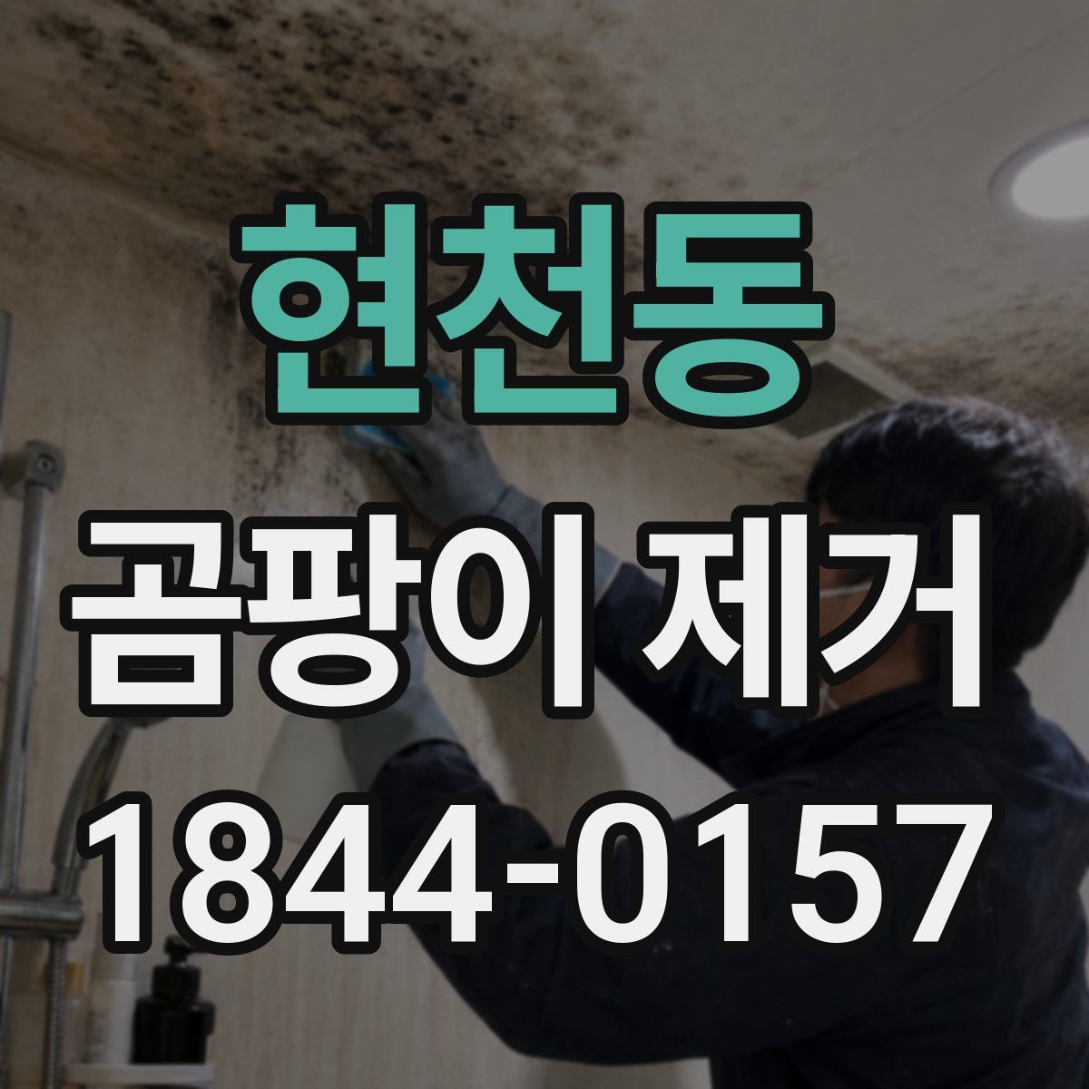 현천동 곰팡이 제거