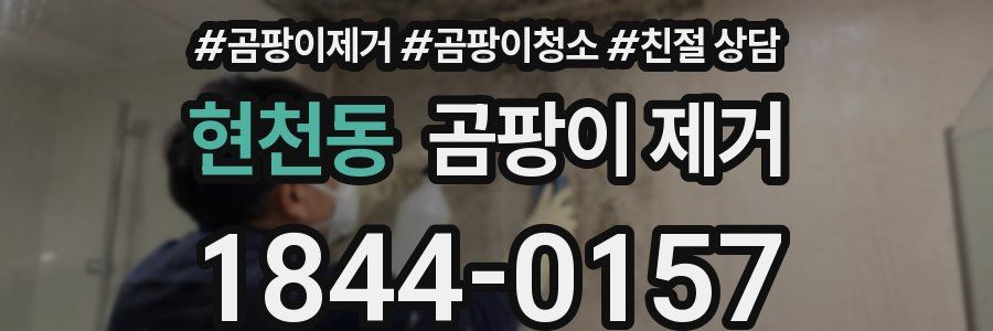 현천동 곰팡이 제거