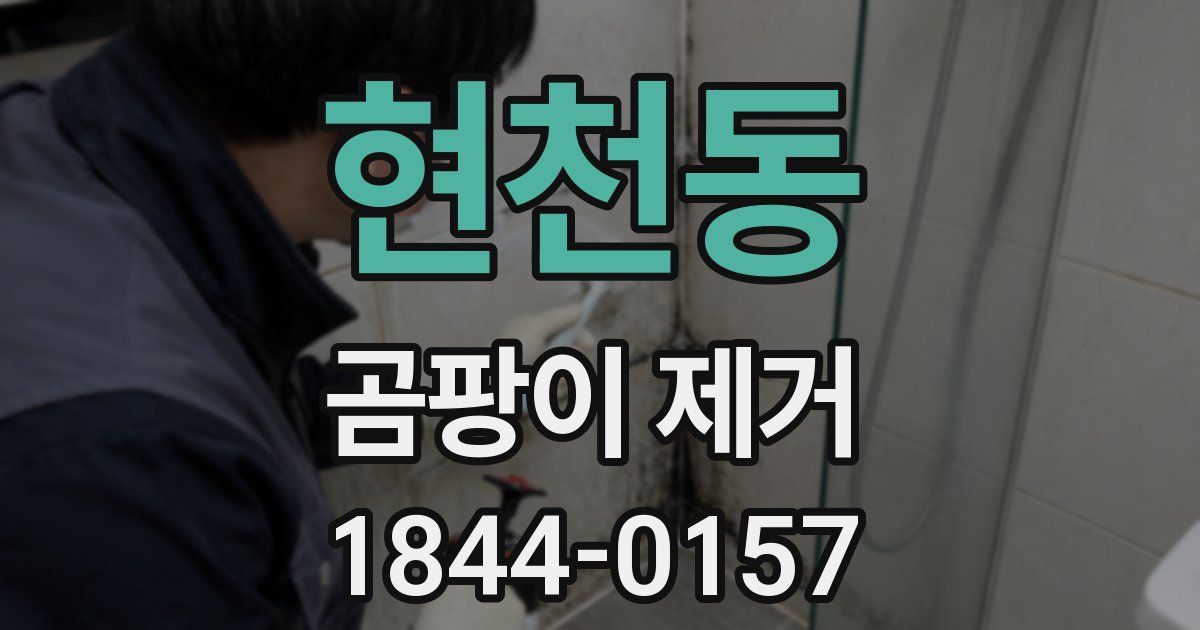 현천동 곰팡이 제거