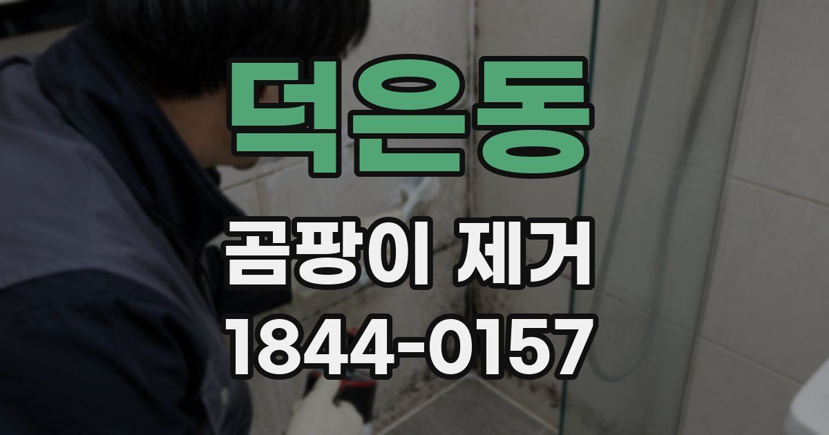 덕은동 곰팡이 제거
