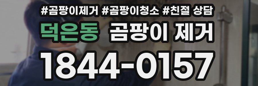 덕은동 곰팡이 제거