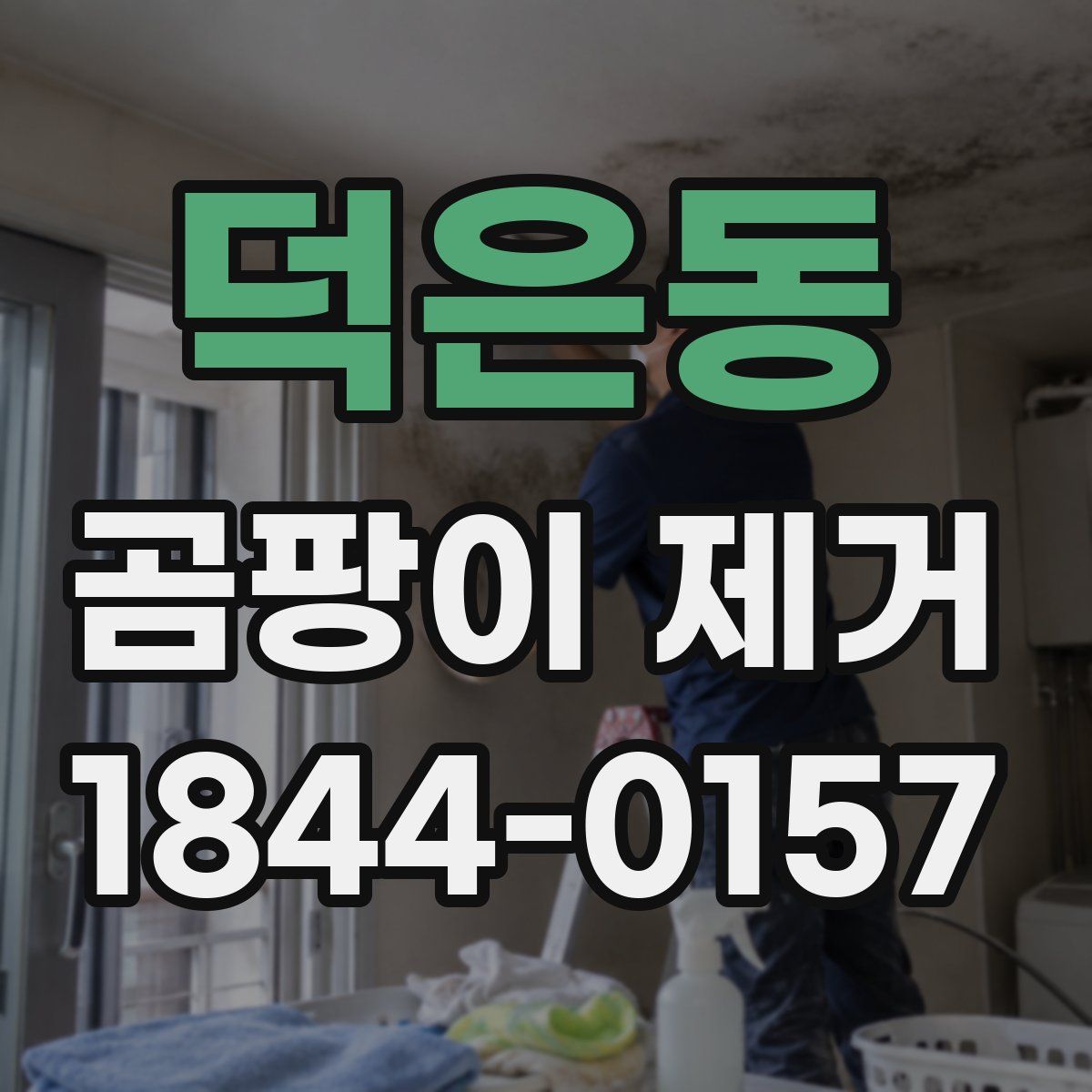 덕은동 곰팡이 제거