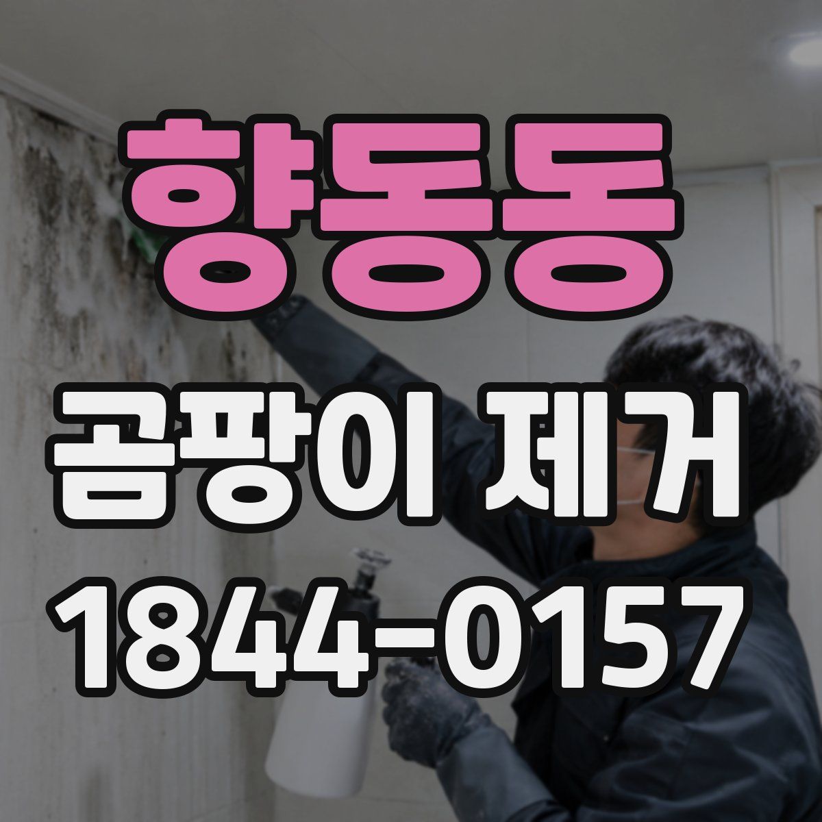 향동동 곰팡이 제거
