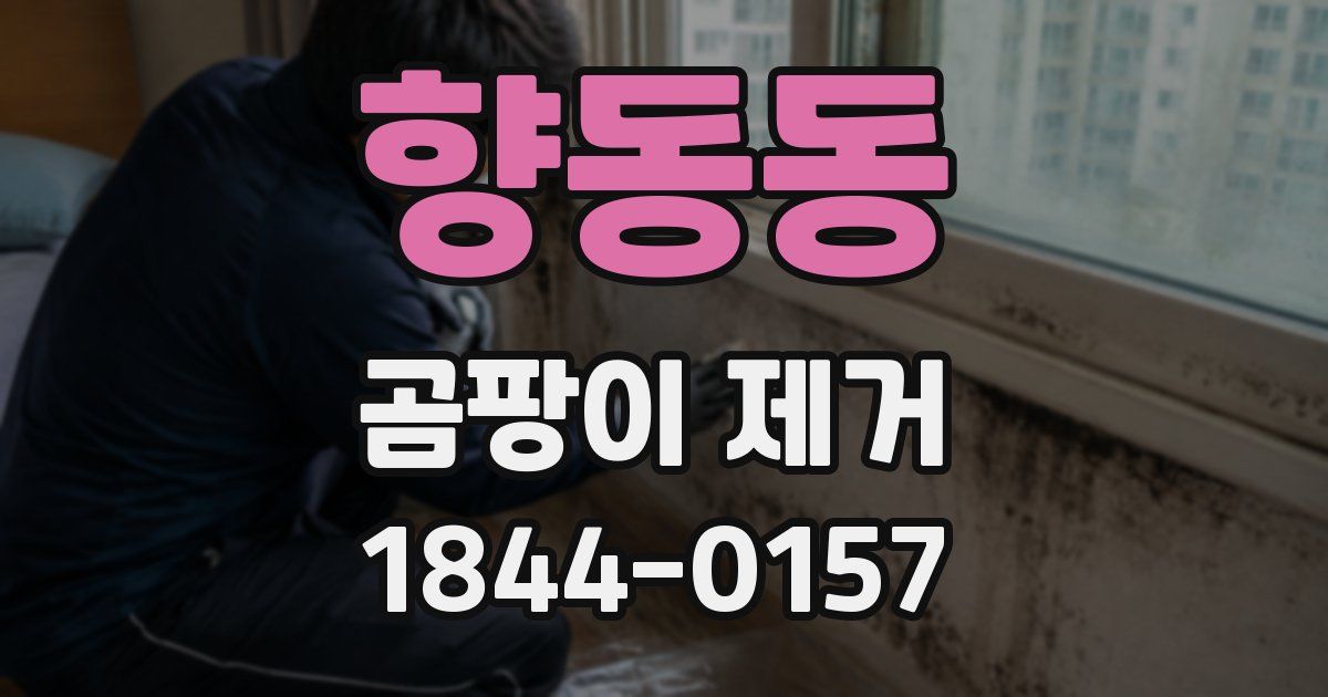 향동동 곰팡이 제거