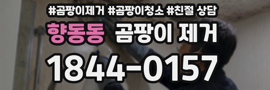 향동동 곰팡이 제거
