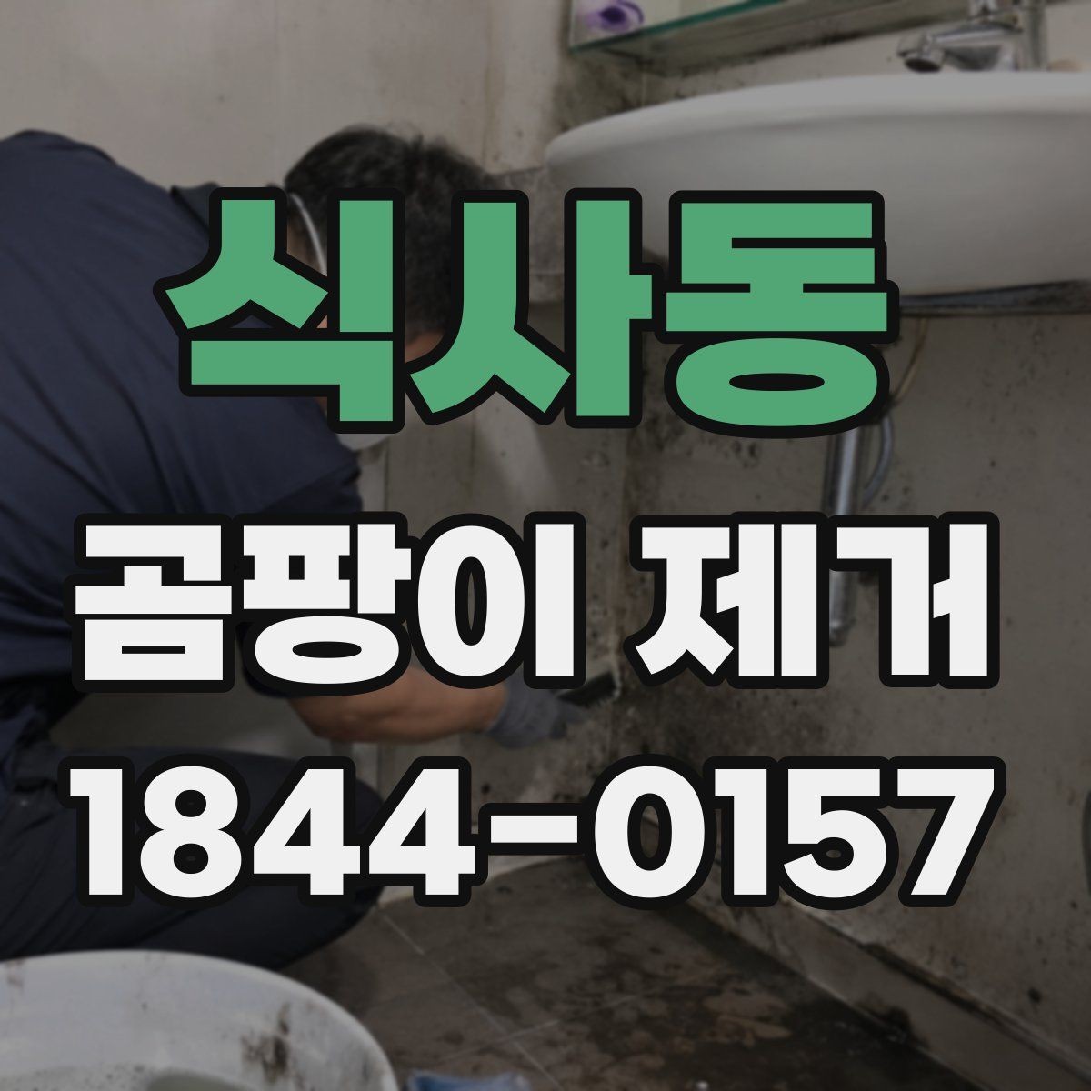 식사동 곰팡이 제거 비용이 달라지는 기준 정리