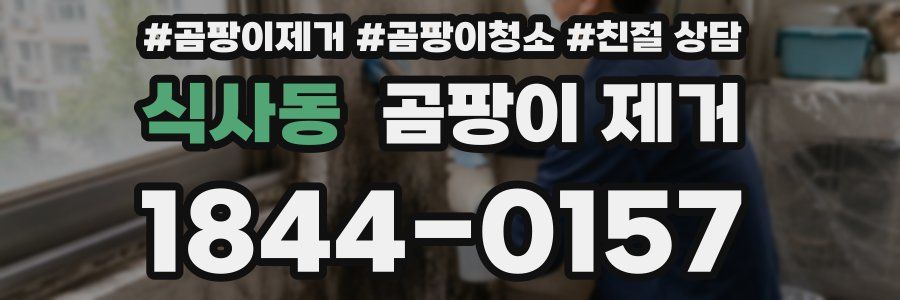 식사동 곰팡이 제거
