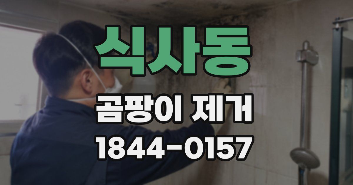 식사동 곰팡이 제거