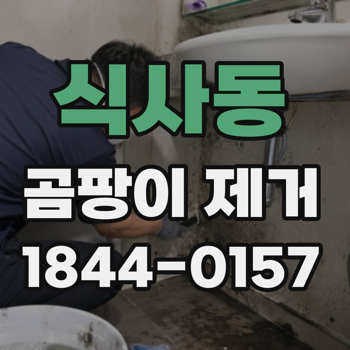 식사동 곰팡이 제거