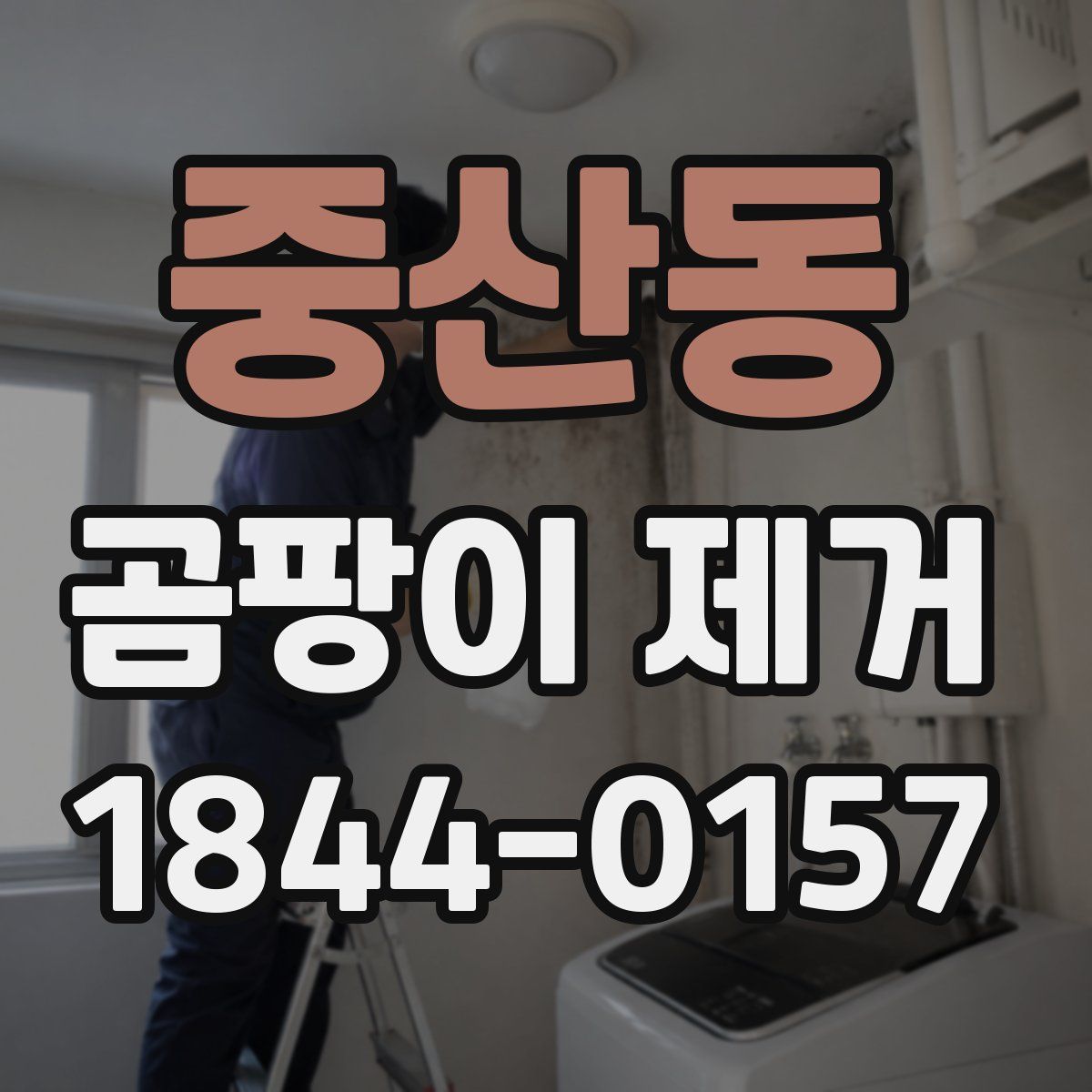 중산동 곰팡이 제거