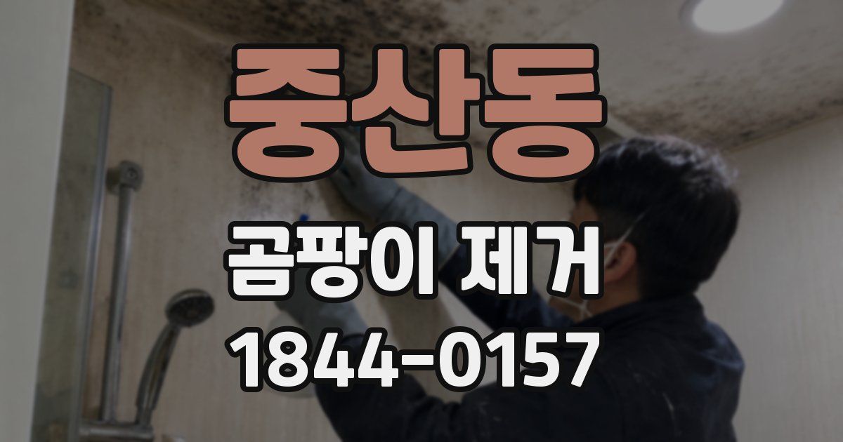 중산동 곰팡이 제거