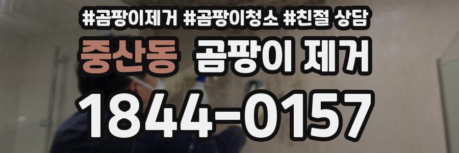 중산동 곰팡이 제거