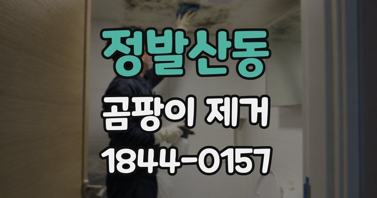 정발산동 곰팡이 제거