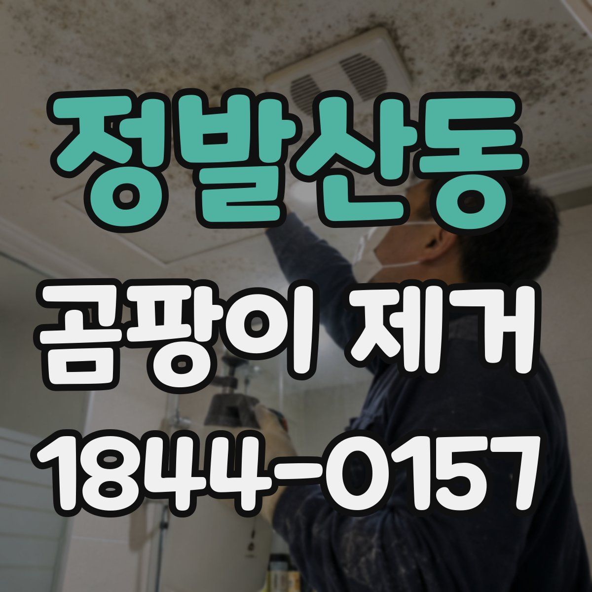 정발산동 곰팡이 제거