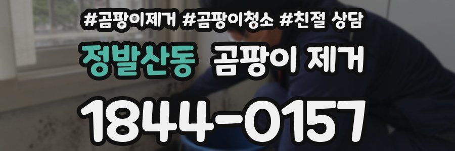 정발산동 곰팡이 제거