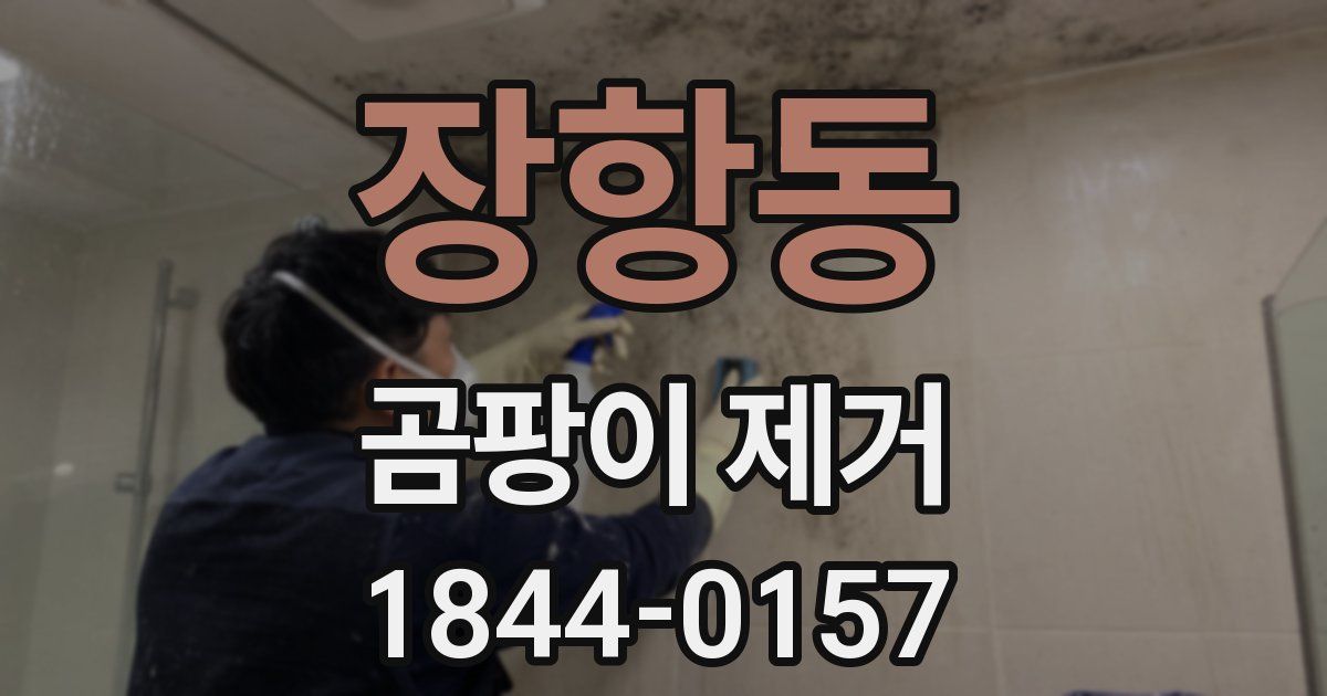 장항동 곰팡이 제거