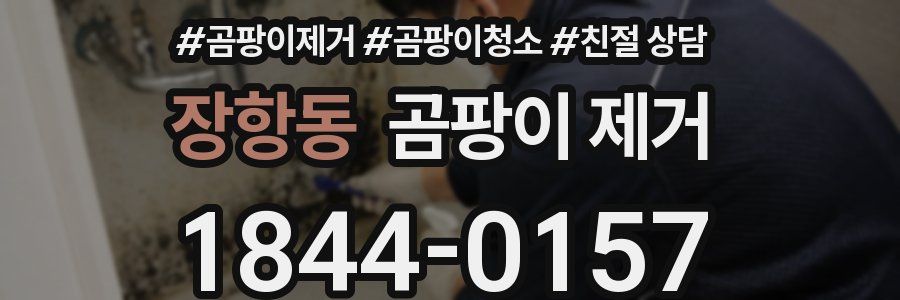장항동 곰팡이 제거