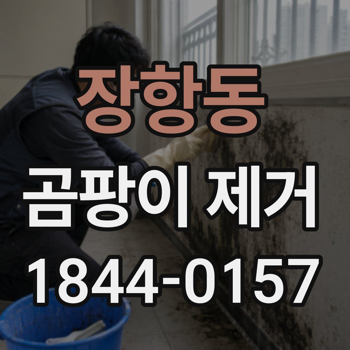 장항동 곰팡이 제거