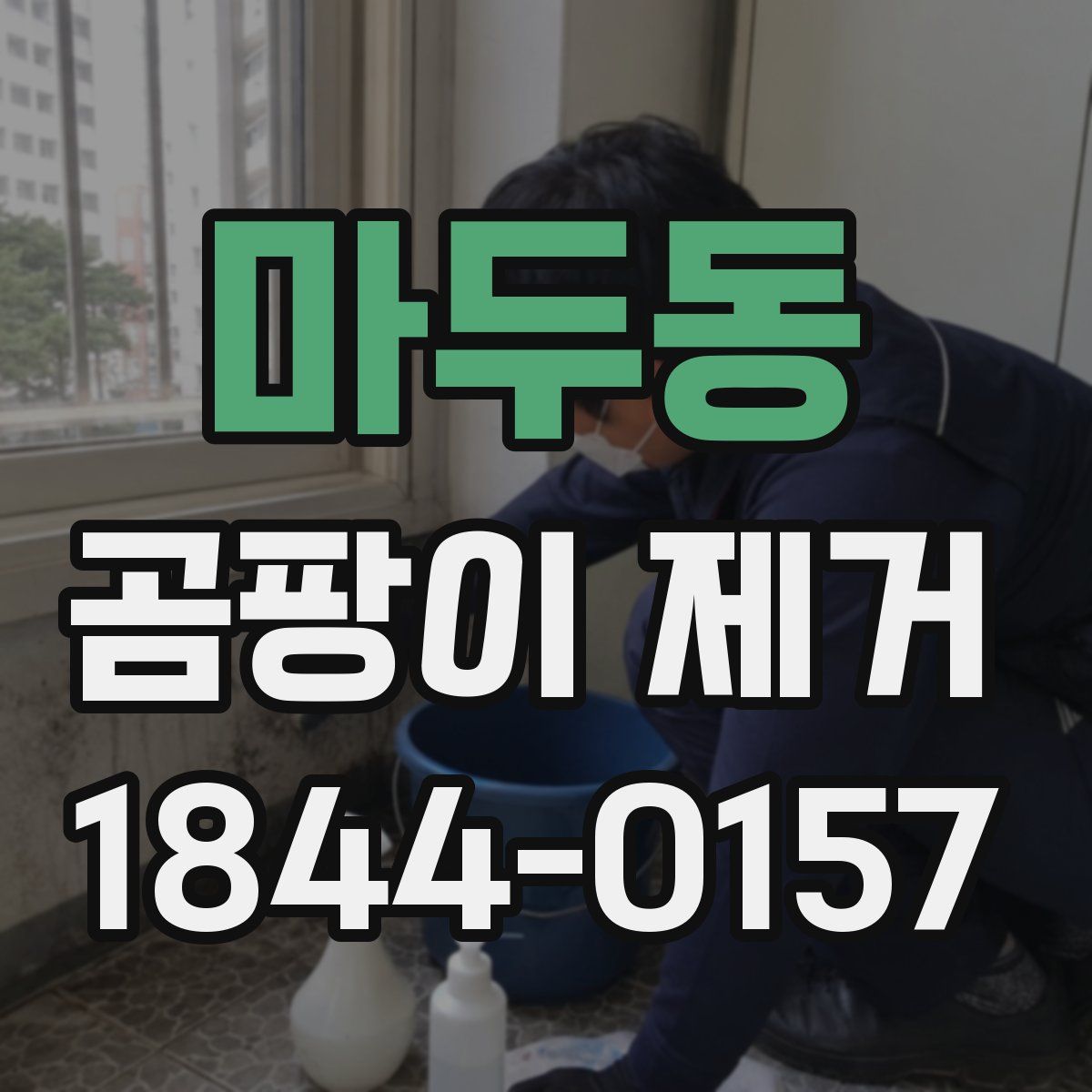 마두동 곰팡이 제거
