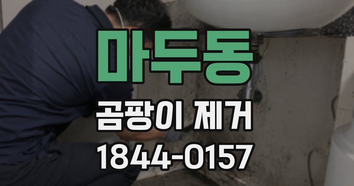 마두동 곰팡이 제거
