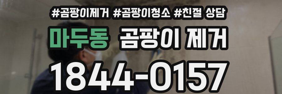 마두동 곰팡이 제거