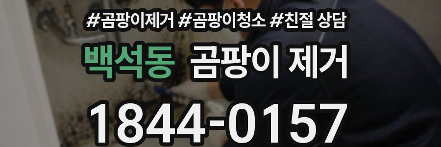 백석동 곰팡이 제거